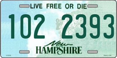 NH license plate 1022393