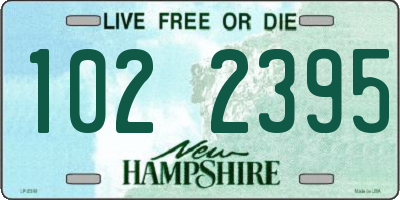 NH license plate 1022395