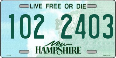 NH license plate 1022403