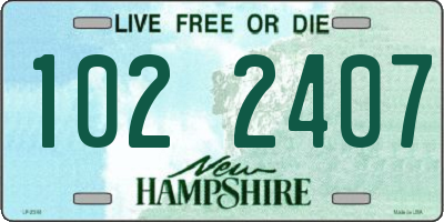 NH license plate 1022407