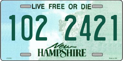 NH license plate 1022421