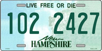 NH license plate 1022427
