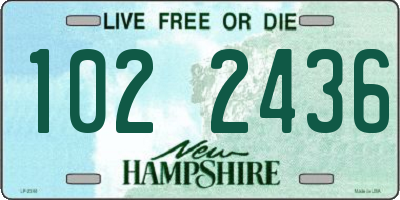 NH license plate 1022436