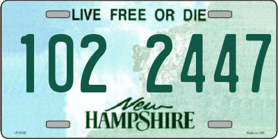 NH license plate 1022447