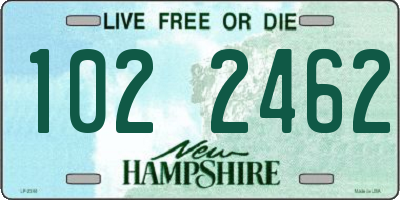 NH license plate 1022462
