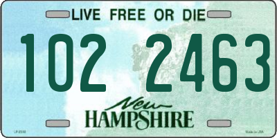 NH license plate 1022463