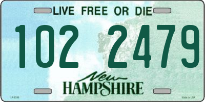 NH license plate 1022479