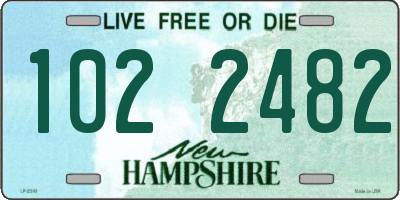 NH license plate 1022482
