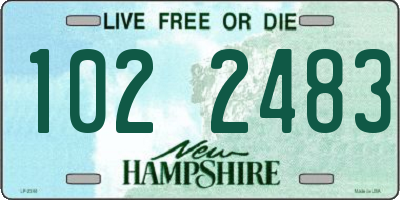 NH license plate 1022483