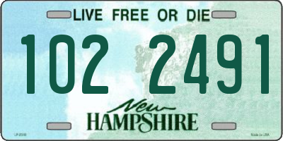 NH license plate 1022491