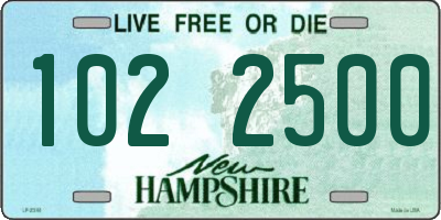 NH license plate 1022500