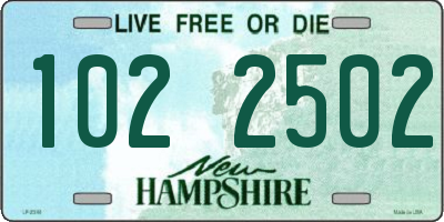 NH license plate 1022502