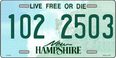 NH license plate 1022503