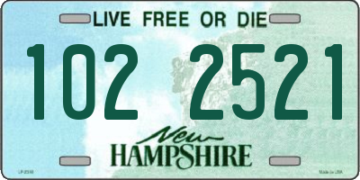 NH license plate 1022521