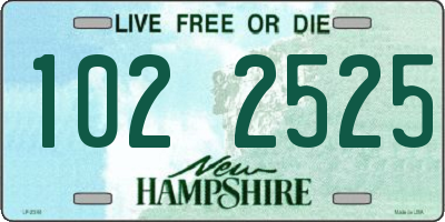 NH license plate 1022525