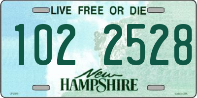 NH license plate 1022528