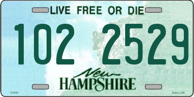 NH license plate 1022529