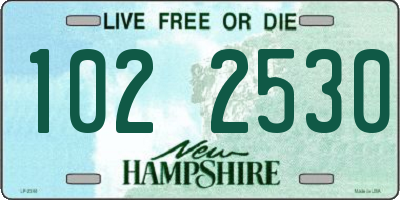 NH license plate 1022530