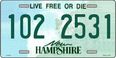 NH license plate 1022531