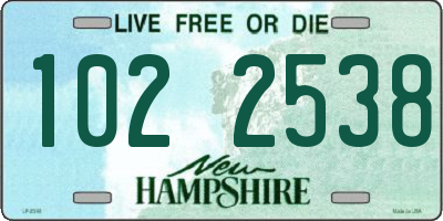 NH license plate 1022538