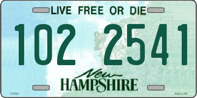 NH license plate 1022541