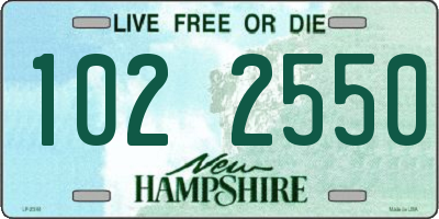 NH license plate 1022550