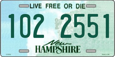 NH license plate 1022551