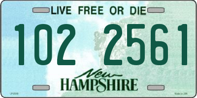 NH license plate 1022561