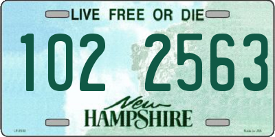 NH license plate 1022563