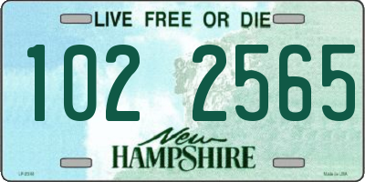 NH license plate 1022565