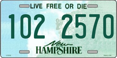 NH license plate 1022570