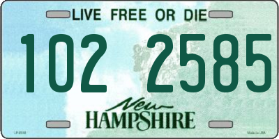 NH license plate 1022585