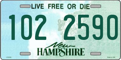 NH license plate 1022590