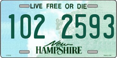 NH license plate 1022593