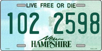NH license plate 1022598