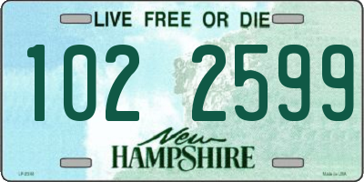 NH license plate 1022599