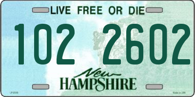 NH license plate 1022602
