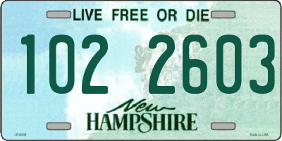 NH license plate 1022603