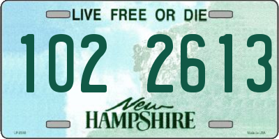 NH license plate 1022613