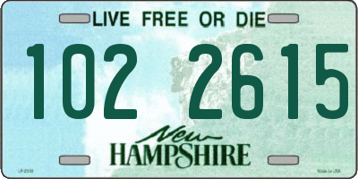 NH license plate 1022615