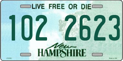 NH license plate 1022623