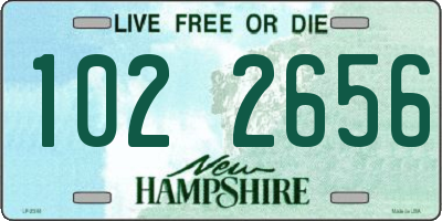 NH license plate 1022656
