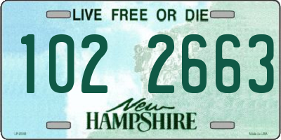 NH license plate 1022663