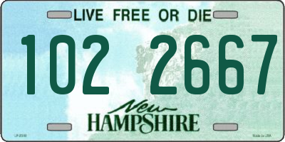 NH license plate 1022667