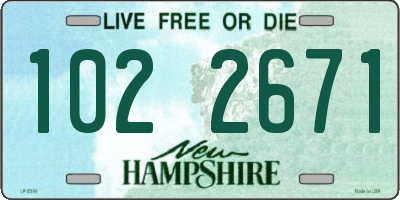 NH license plate 1022671