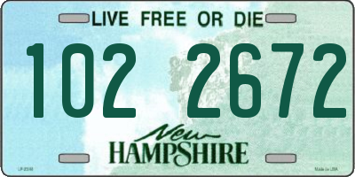NH license plate 1022672