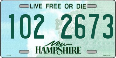 NH license plate 1022673