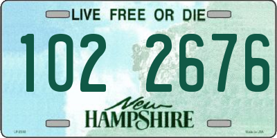 NH license plate 1022676