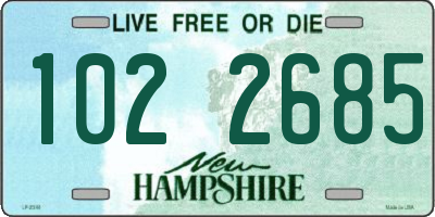 NH license plate 1022685