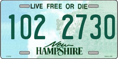 NH license plate 1022730